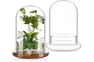 Perthlin 2 Pcs 5.9 x 7.9 Inch Glass Terrarium Clear Terrarium Planter Container Glass Dome Cloche with Airhole and Base for Plant Flower Home Tabletop Display Centerpiece, Plants Not Included