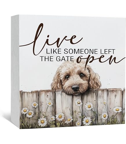 Live Like Someone Left The Gate Open Wood Sign - Rustic Horse Decor For Farmhouse, Cottagecore - View #13