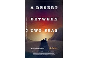 A Desert between Two Seas: A Novel in Stories (Flannery O'Connor Award for Short Fiction)