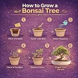 Grow Buddha Master Bonsai Growing Kit - Six Seed Indoor Bonsai Set view 7