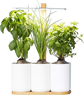 Lilo, Ihr smarter Indoor-Garten ❃ neue Version ❃ Bauen Sie ganz einfach Ihre eigenen frischen Kräuter an, das ganze Jahr über ❃ Inklusive Basilikum, Minze und Schnittlauch