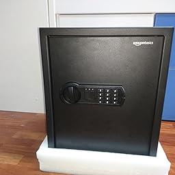 AmazonBasics - Caja fuerte para casa, 50 l: Amazon.es: Bricolaje y herramientas
