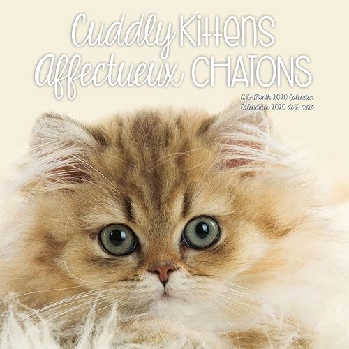 Download Cuddly Kittens 2020 Calendar / Affectueux Chatons PDF