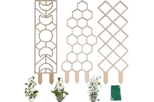 WellSign Trellis for Potted Plants, 16Inch Garden Trellis for Climbing Plants Indoor Outdoor with Different Patterns for Ivy Flower Plant Support 3 PK