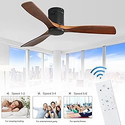 CACI Mall 52'' Ceiling Fan without Lights Remote