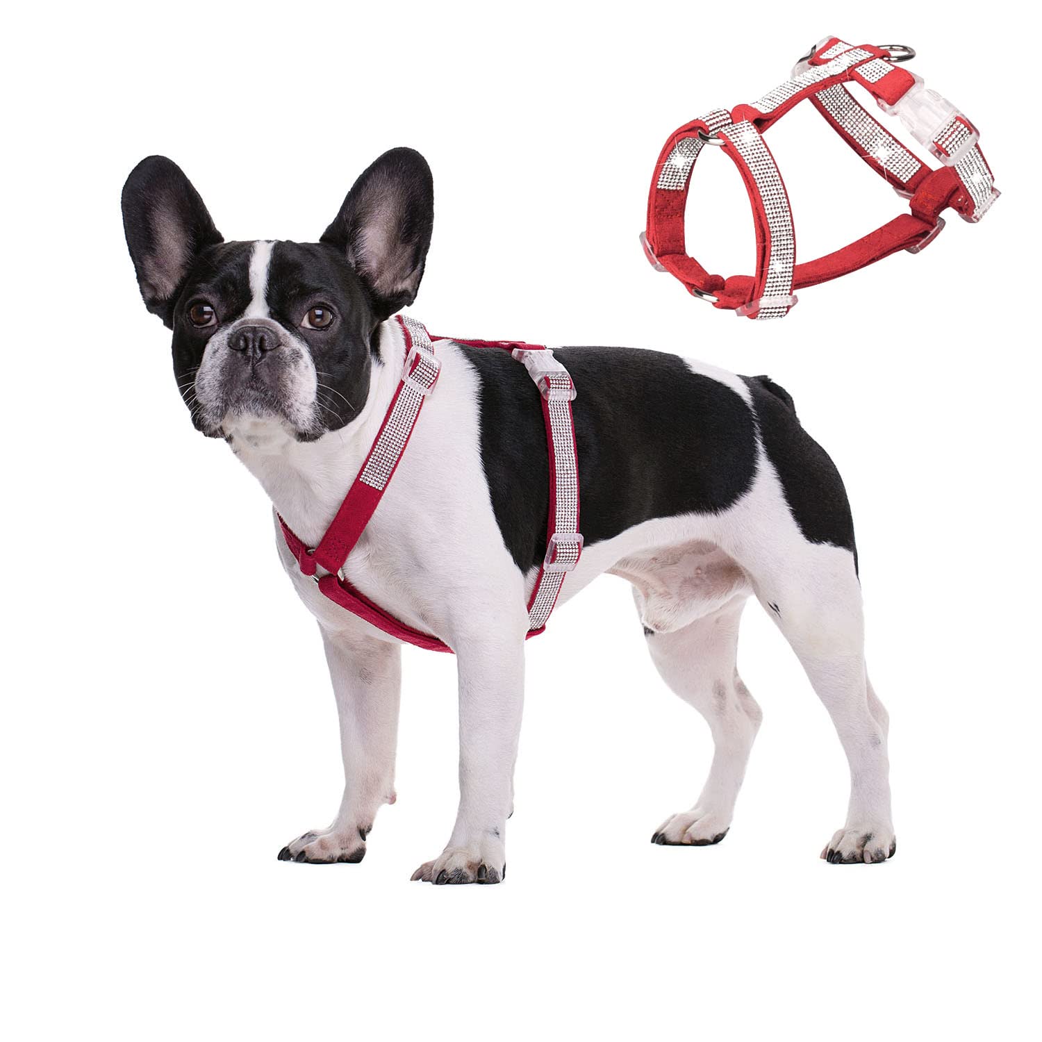 BT Bear Dog Harness, Bling Bling Rhinestone Crystal Dogs Harnesses Adjustable Safe Buckle Pet Harness for Cats Small Dogs (Red, XS)