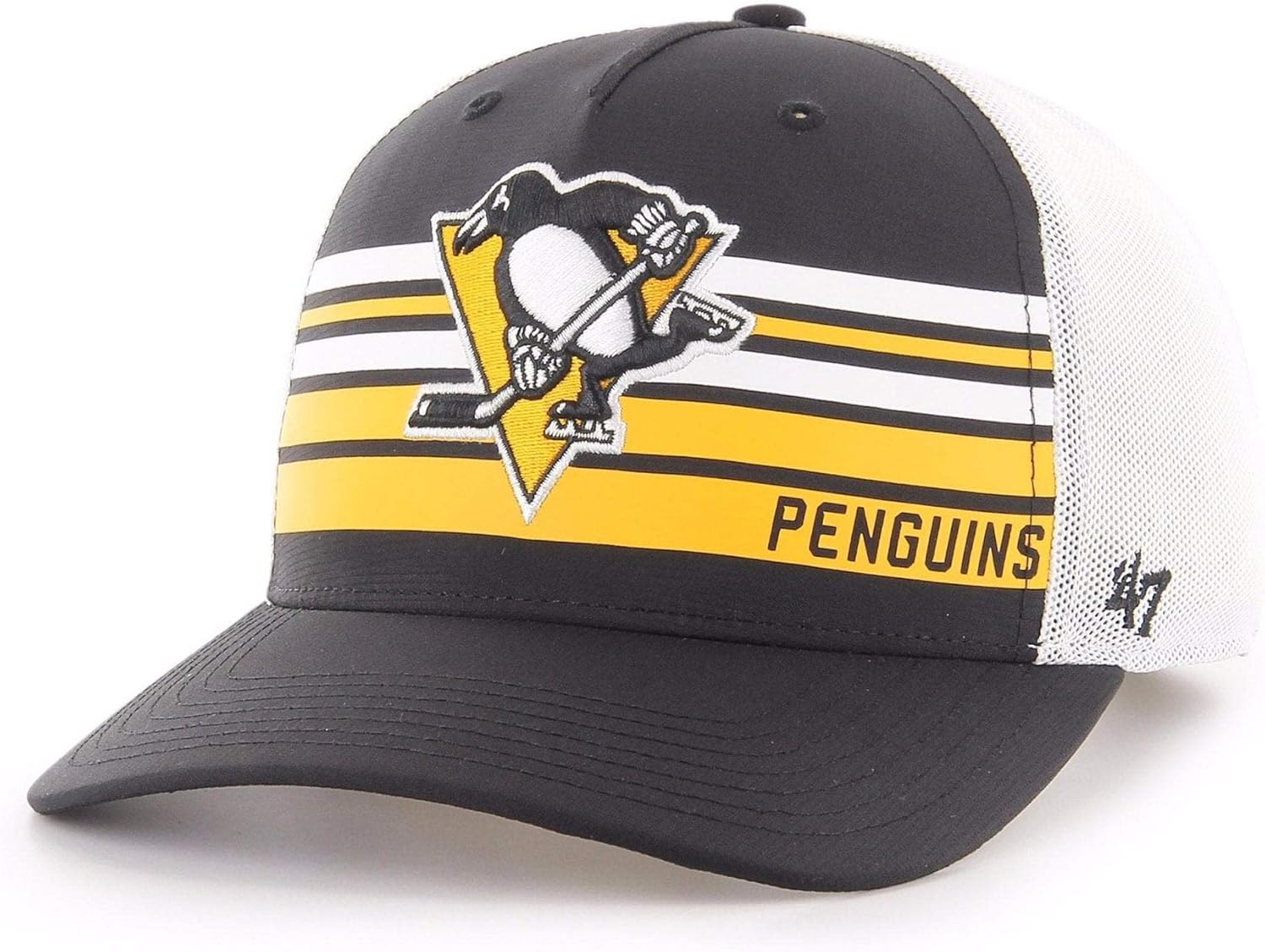 pittsburgh penguins 47