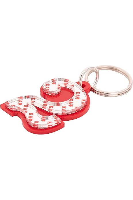 PACKOVE Chinese Dragon Keychain 2024 New Year Feng Shui Keychain 