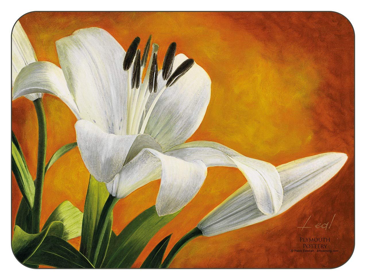 Plymouth Pottery - Lily Sunburst Placemats - Set of 6