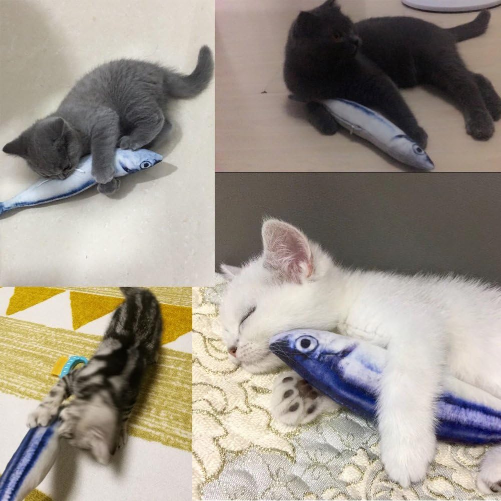 KTCLCATF Coolfm Coolfm Catnip Toys Set Simulation Fish Shape Doll Interactive Pets Pillow Chew Bite Supplies for Cat/Kitty/Kitten Fish Flop Cat Toy Catnip Crinkle Toys 3PCS (QDY-3PCS) : Pet Supplies