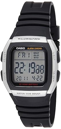 casio d031