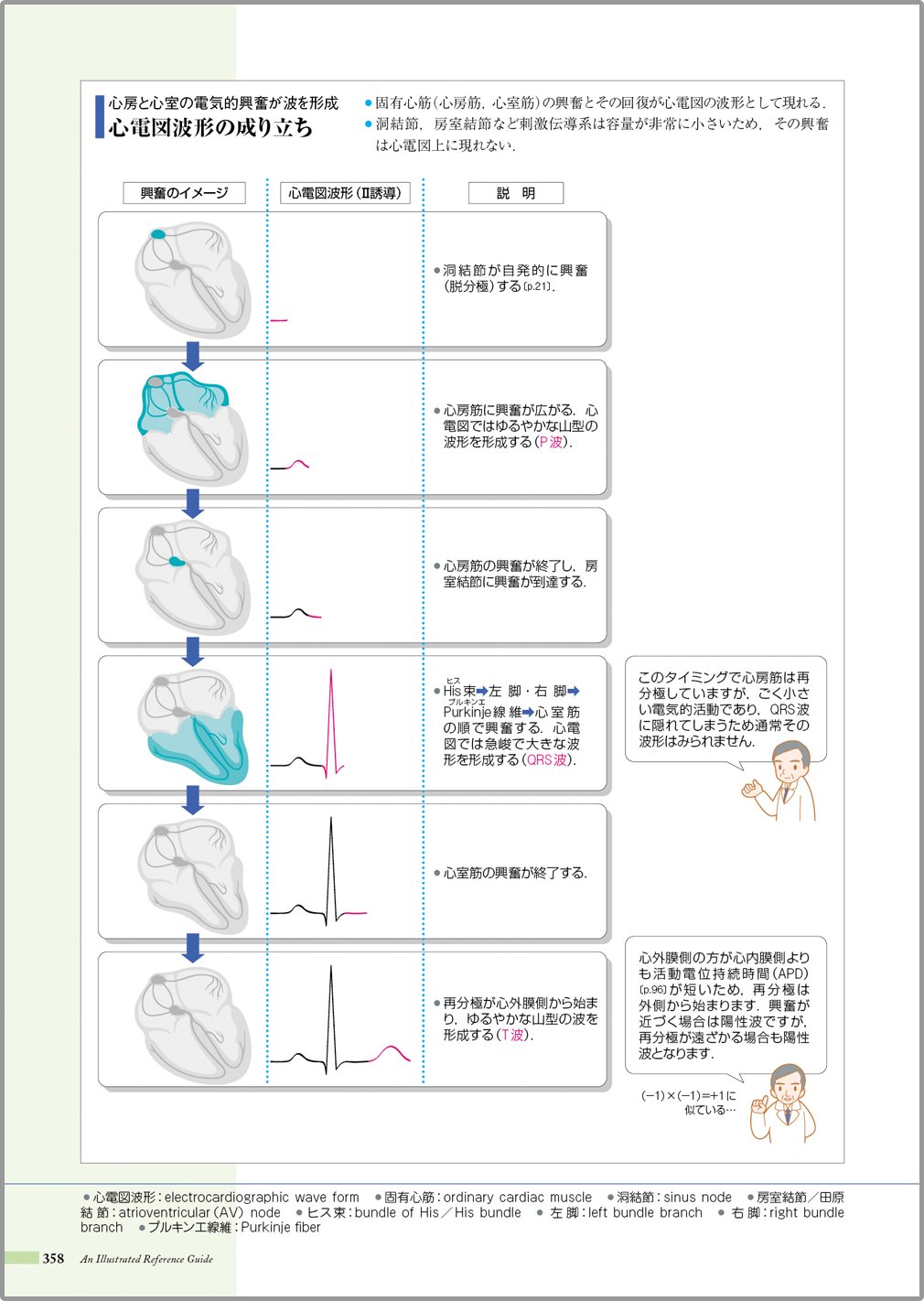 病気がみえるvol 2循環器 9784896326437 Amazon Com Books
