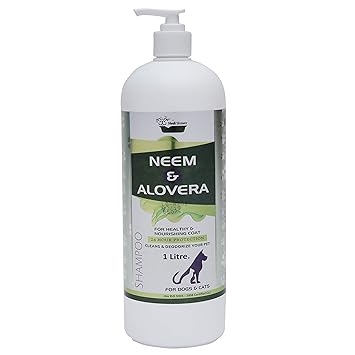 Medilogy Biotech Dog Shampoo Neem Aloe Vera 1 Litre Promotes Healthy Skin Coat Anti Bacterial Anti Fungal Anti Itch Anti Inflammatory