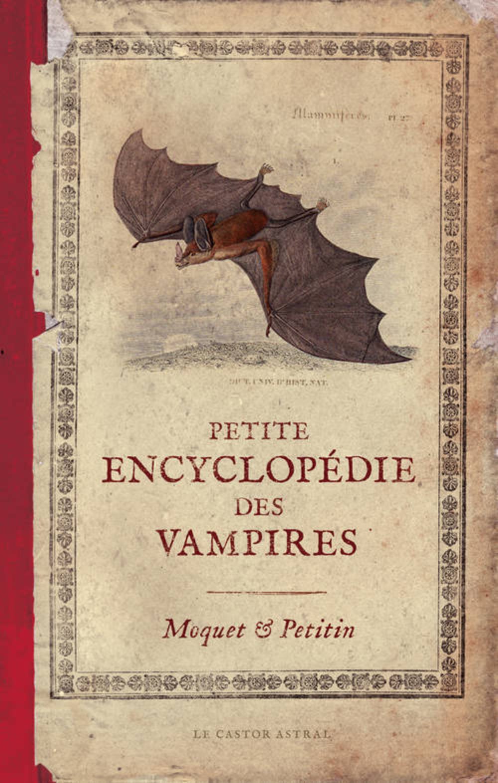Petite Encyclopedie Des Vampires French Edition Moquet Pierre Petitin Jacques 9782859209629 Amazon Com Books