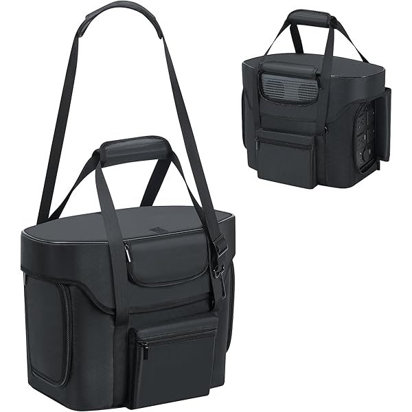Amazon.com: Cxinesbag Portable Power Station Bag Compatible with