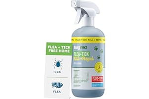 BugMD Pet Safe Flea Spray for Cats & Home | Natural Indoor Flea Killer & Tick Prevention | Plant-Based Flea Treatment for Carpet, Furniture & Cat Trees with Essential Oils