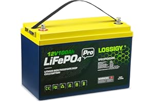 LOSSIGY 12V 100AH Lifepo4 Battery, Deep Cycle Rechargeable Lithium with BMS, 10 Yrs Lifespan, Prefect for Any Solar System, Best for Replacement Your Olds.