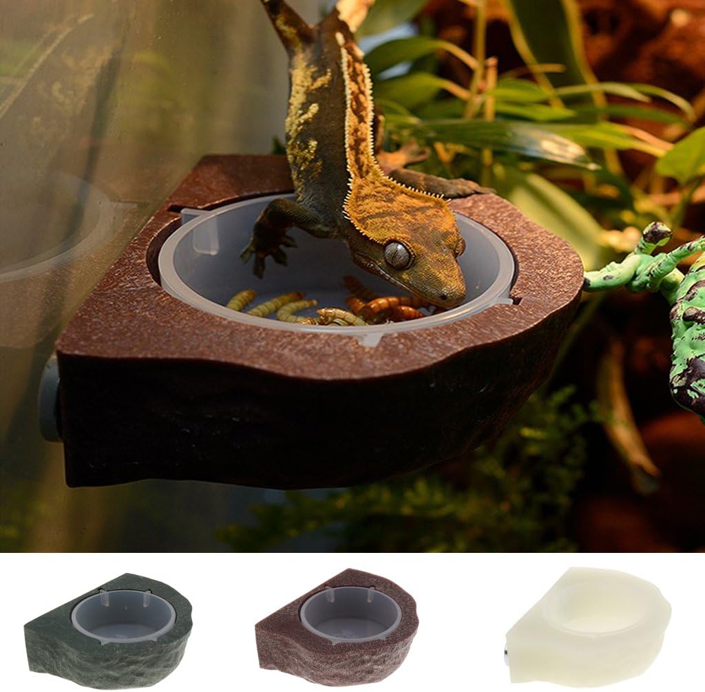 pangea mini magnetic gecko feeder ledge