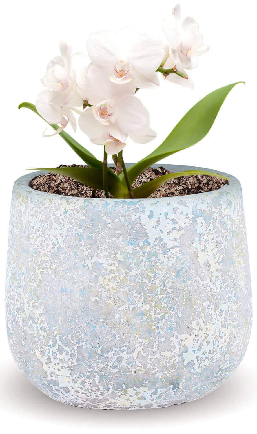 Inspirella Modern Flower Pot Indoor Plan Buy Online In South Africa At Desertcart