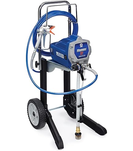 Filtre Collecteur Pour Pompe Airless 30 Mailles, Gris (246425) Graco