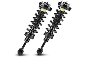 YOUXMOTO Front Left Right Strut Shock Absorber 171361 4WD ONLY Fit for Ford F-150 2004-2008, for Lincoln Mark LT 5.4L 2006-2008, with Coil Spring Complete Strut Assembly, 1 Pair