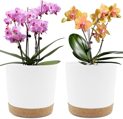 QCQHDU 20cm Plant Pot 2 Pack with Drainage Holes and Tray White Modern Decor