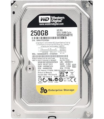 Amazon.com: WESTERN DIGITAL WD2500AAKX Caviar Blue 250GB 7200 RPM