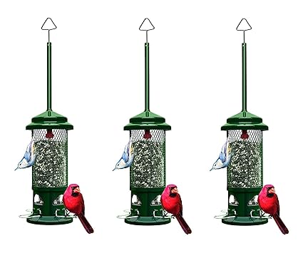 Amazon Com Squirrel Buster Standard Squirrel Proof Bird Feeder W