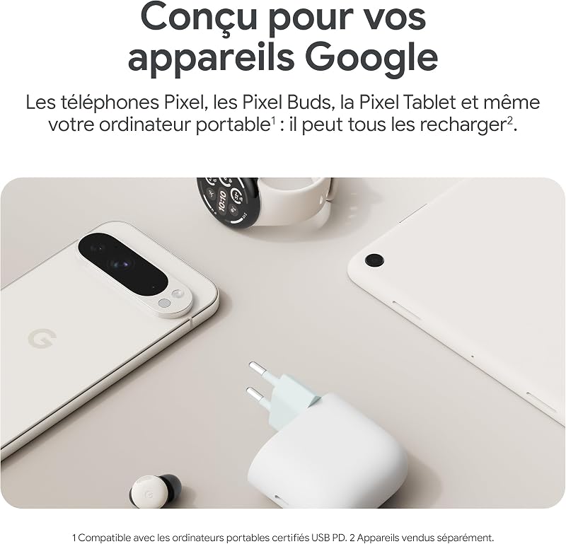 Chargeur Secteur Google 45 W USB-C – Chargeur pour téléphone Pixel à Recharge Rapide – Compatible avec Les Produits Made by Google et d'autres appareils USB-C® – Neige