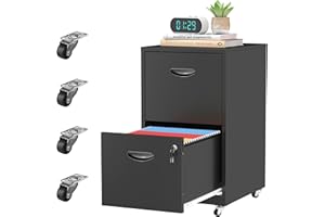 TIMELESS PIECES 2 Drawer Rolling File Cabinet with Lock,Filing Cabinets for Home Office,Two Drawer File Cabinet, Mobile Under Desk File Cabinets, Printer Stand with Wheels Fit Letter/A4,Assembly Required