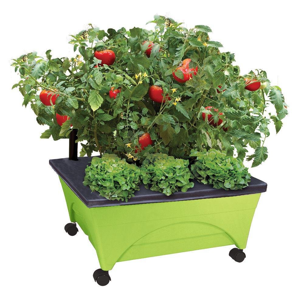 Best Patio Raised Garden Bed Grow Box Kit With Watering System And Casters