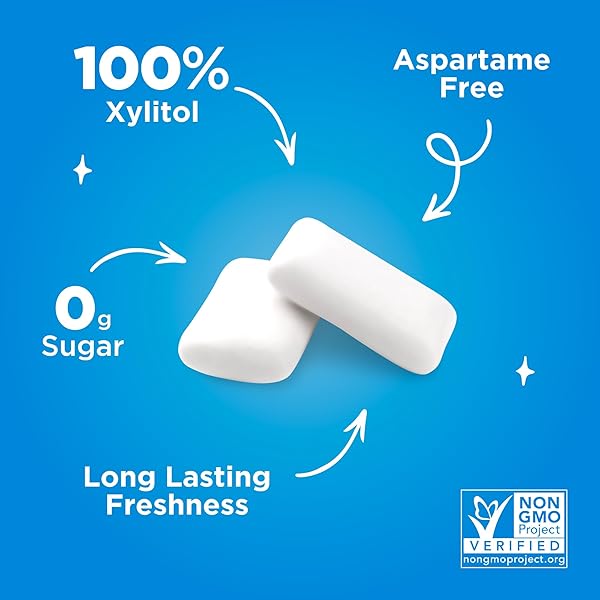 PUR GUM | ASPARTAME FREE CHEWING GUM | 100% XYLITOL | NATURAL PEPPERMINT FLAVORED GUM, 55 PIECES (PACK OF 3)