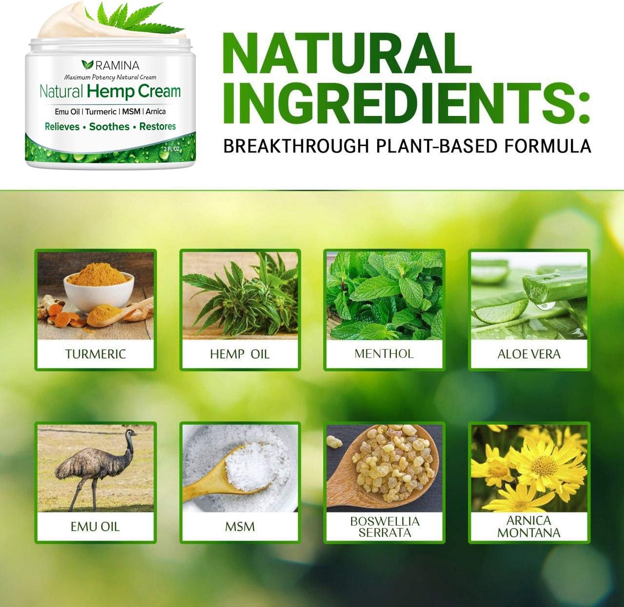 Ramina Natural Hemp Extract Pain Relief Cream - Made in USA - Potent Turmeric, MSM & Arnica - Relieves Inflammation, Muscle, Joint, Back, Knee, Nerves & Arthritis Pain - Non-GMO - 2 fl. oz: Health & Personal Care