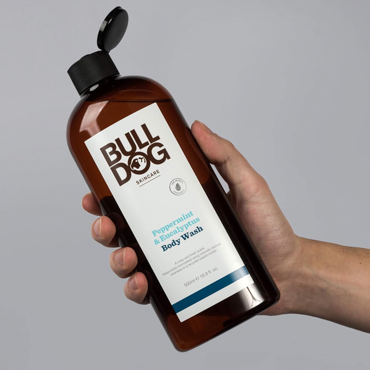 Bulldog Mens Skincare and Grooming Original Body Wash, 16.9 Ounce : Beauty