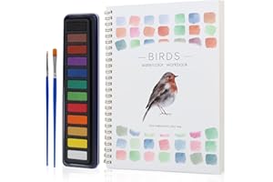 NIVLOP Beginner Watercolor Workbook Kit, Multi Theme with 12-Color Palette & 2 Brushes, Premium Bleed-Resistant Paper Art Set for Teens & Adults, Easy-to-Learn Painting Kit for Creative Exploration & Gifting
