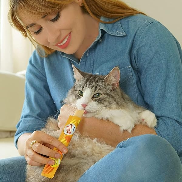 INABA CHURU POPS MOIST AND CHEWY CAT TREAT CHICKEN RECIPE 4 TUBES