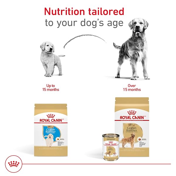 ROYAL CANIN BREED HEALTH NUTRITION GOLDEN RETRIEVER ADULT LOAF IN SAUCE DOG FOOD, 13.5 OZ (PACK OF 12)