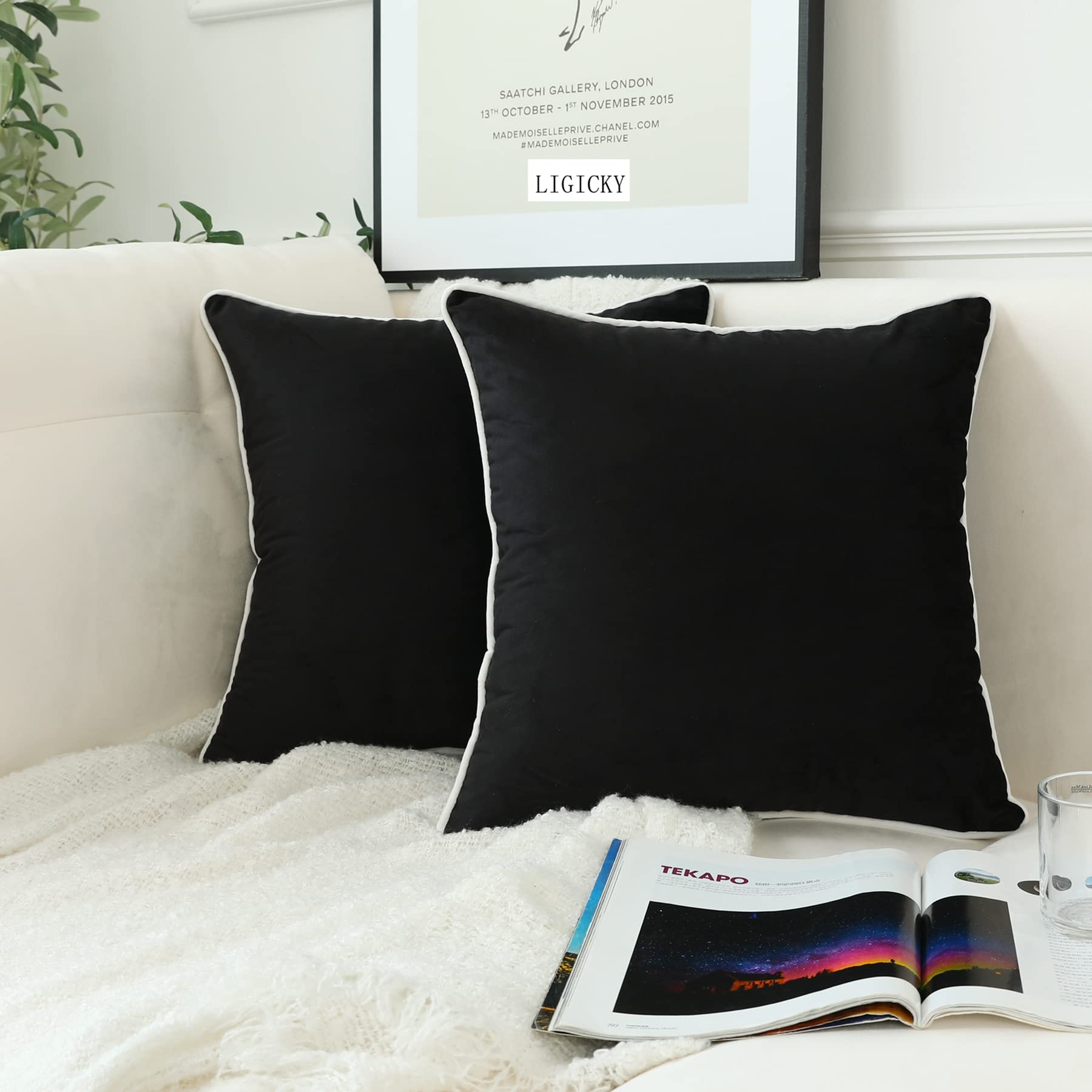 LIGICKY Set of 2 Black Velvet Throw Pillow Covers Modern Minimalist Style Solid Decorative White Rope Edging Soft Square Cushion Cases for Sofa Bedroom Party Décor, 16 x 16 inch — image 1