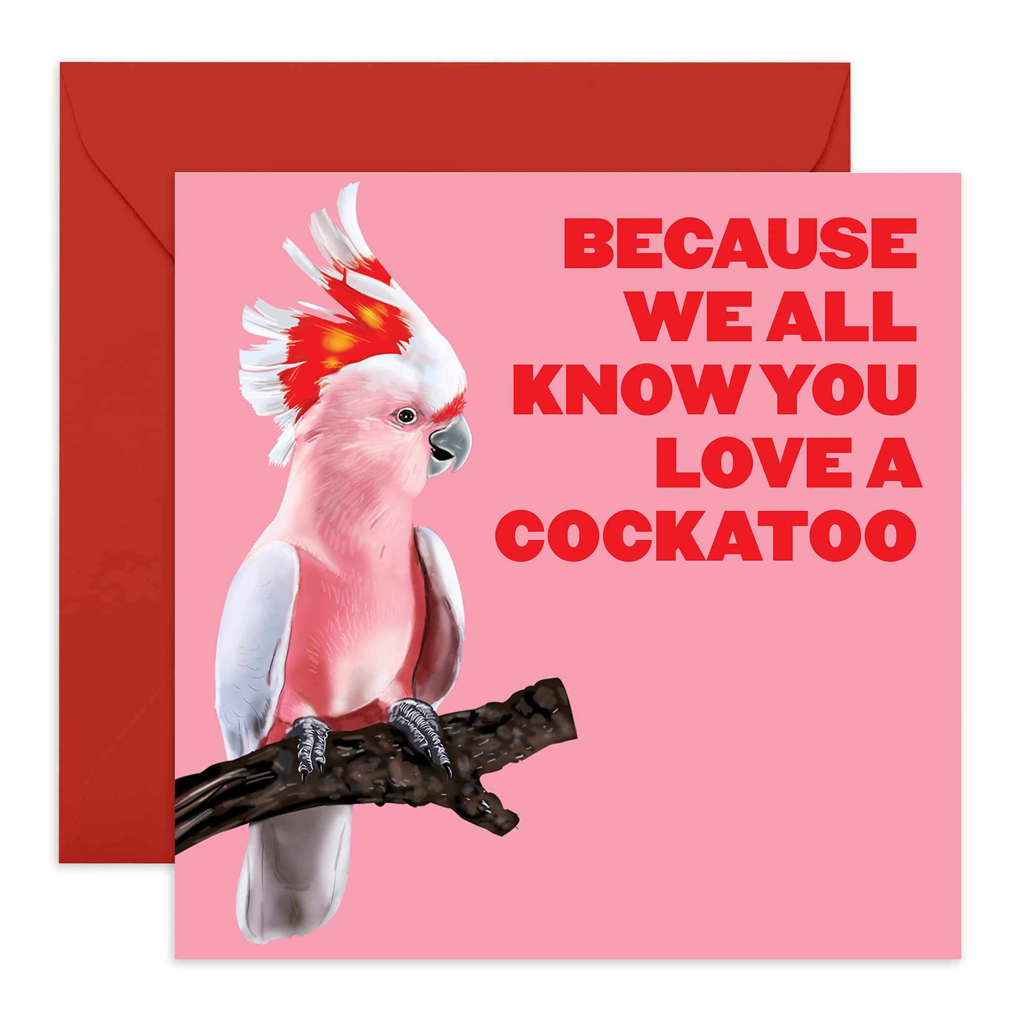 Hilarious Anniversary Card - 'You Love A Cockatoo' - Funny Engagement Card Or Friends - Valentine Card Funny - Comes With Fun Stickers