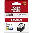 Canon Genuine CL244 Ink - Colour