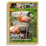 euwazram Ornate Gold 14x20 Frame - Single Frame, 14