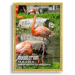 euwazram Ornate Gold 14x20 Frame - Single Frame, 14
