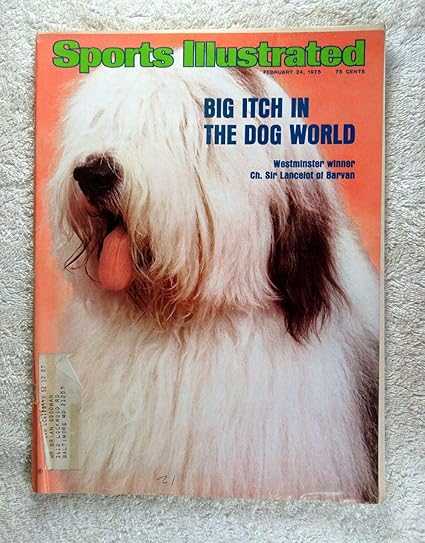 westminster dog show old english sheepdog