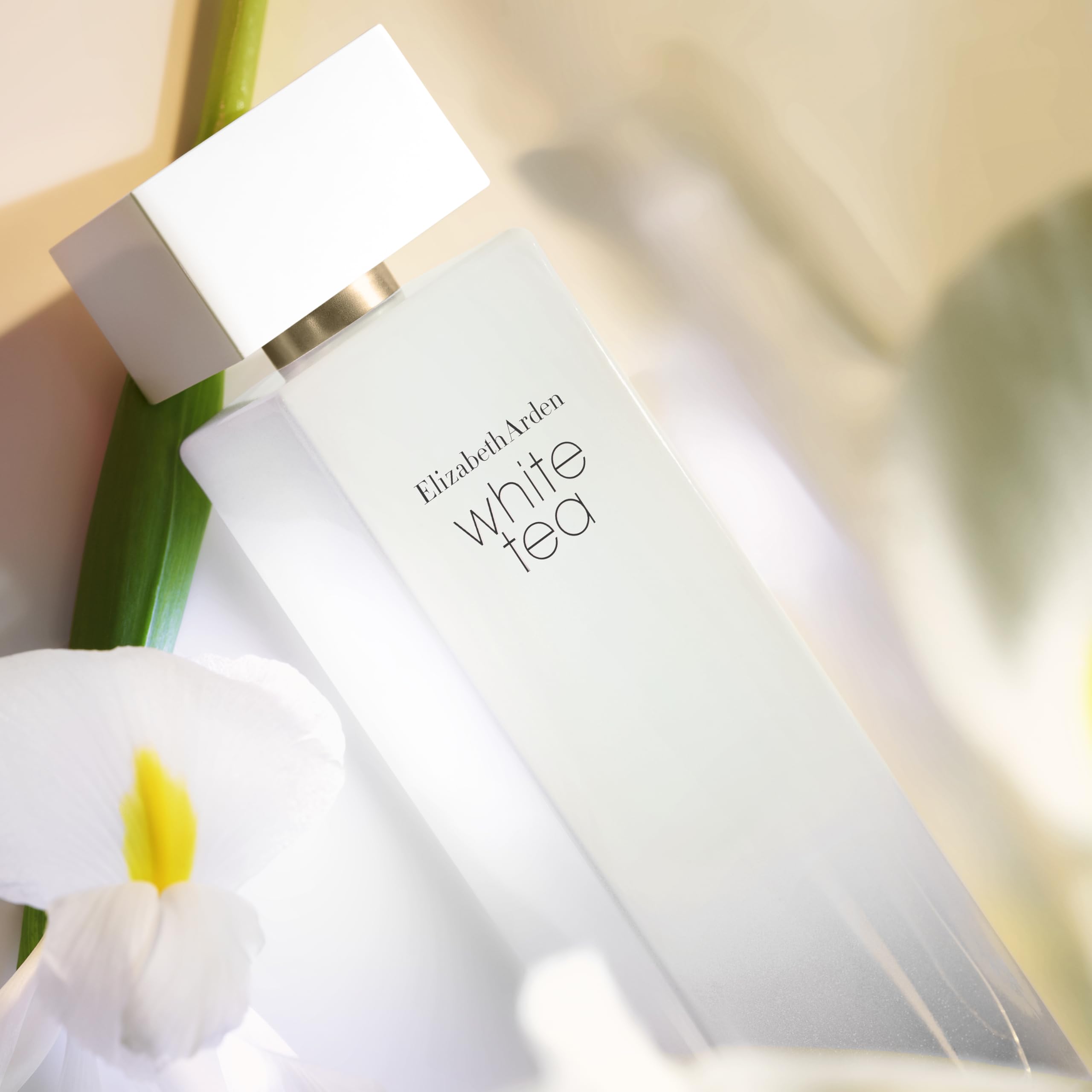 Elizabeth Arden - White Tea, Eau de Toilette Spray, Parfüm mit italienischer Mandarine, Weißer Tee-Extrakt und Madrasholz, blumig, feminin und süß, weiche Wärme, Parfüm für Damen - 100 ml 6