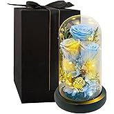 HipTree Preserved Blue Rose in Glass Dome with LED Lights - Forever Eternal Real Rose Gifts for Women, Valentines Day Mothers Day Birthday Wedding Anniversary for Mom Wife Girlfriend