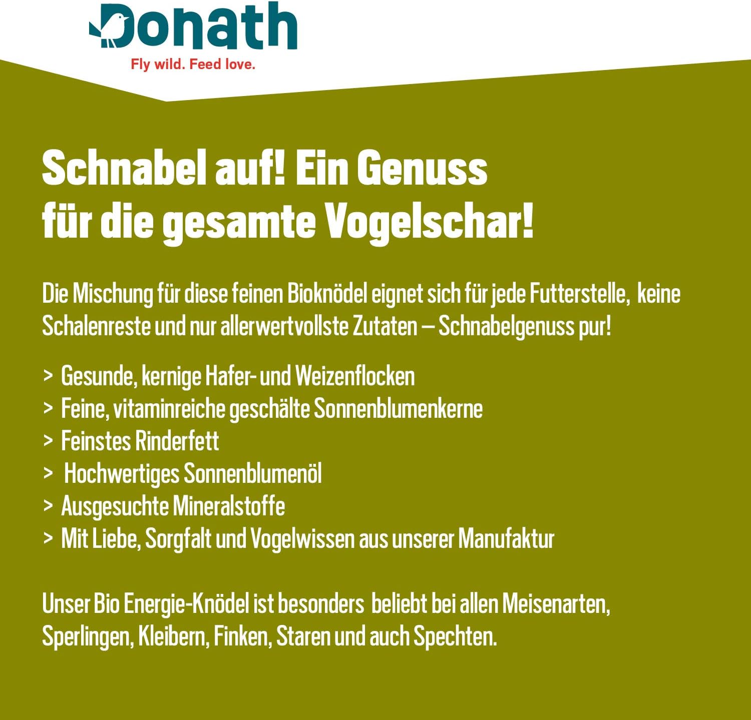 Donath Organic Shell-free Energy Balls, no net, fat balls for tits without net, 100g per ball, no leftover shells - Image 5