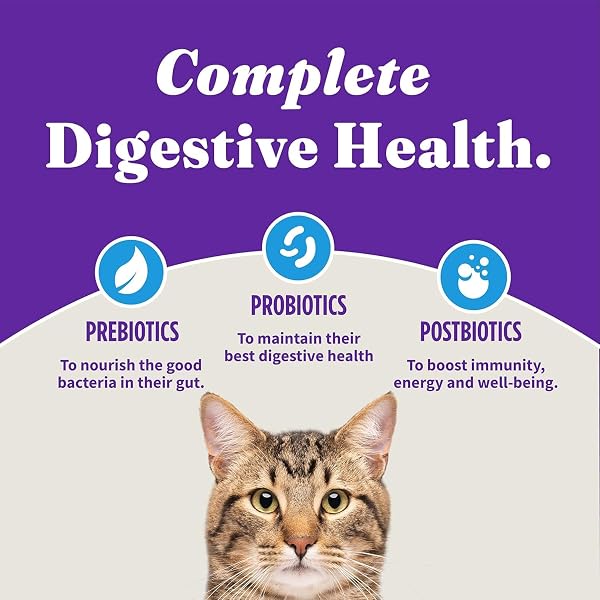 HALO HOLISTIC CAT FOOD WILD CAUGHT WHITEFISH FORMULA, HEALTHY GRAINS DRY CAT FOOD, FOR SENSITIVE STOMACH SUPPORT, KIBBLE FOR ADULT CATS, 6 LB BAG