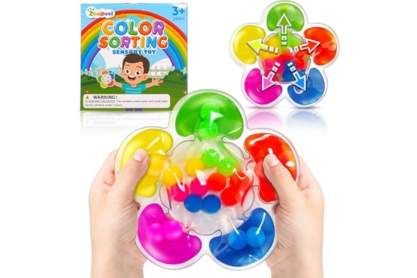 Color Sorting Toys Sensory Toys, Game for Toddlers, Color Matching Preschool Learning Activities Educational Calm Down Montes