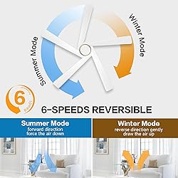 WINGBO 54 Inch DC Ceiling Fan with Lights and