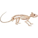 Crazy Bonez Skeleton - Rat Bonez